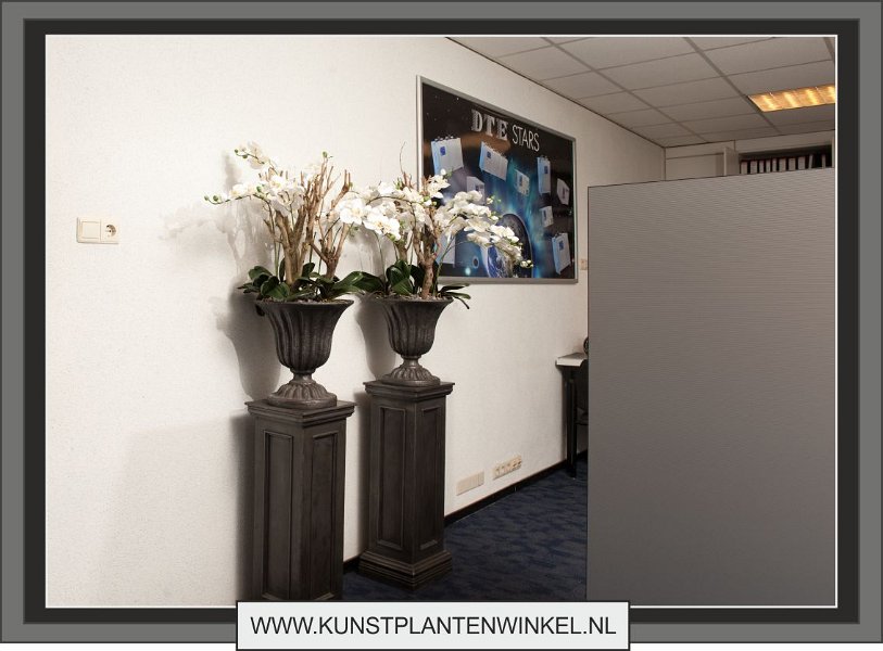 orchideeen in berde stone